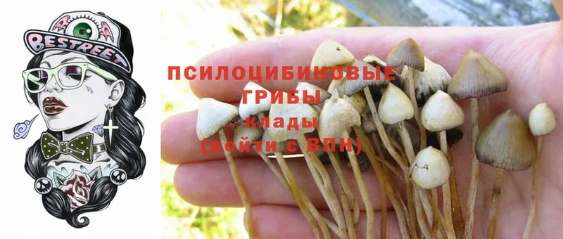 Псилоцибиновые грибы MAGIC MUSHROOMS  Воронеж 